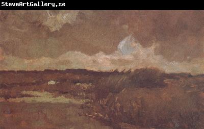 Vincent Van Gogh Marshy Landscape (nn04)